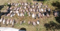 В Марганецкой громаде задержали браконьера за вылов 80 рыб - рис. 7