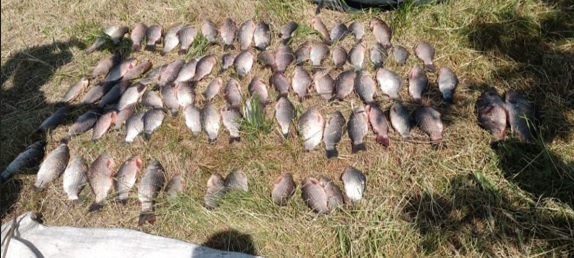 У Марганецькій громаді затримали браконьєра за вилов 80 риб - рис. 1