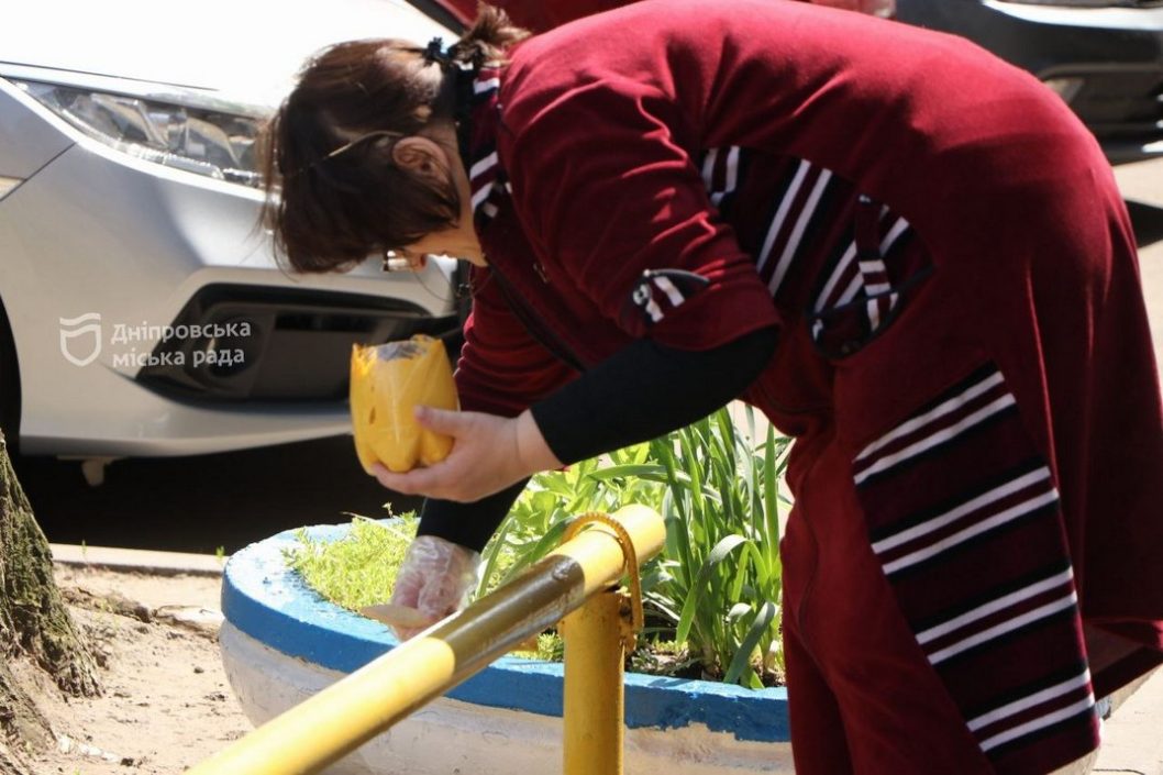 Упорядкували території і висадили квіти: мешканці Соборного району долучилися до суботника