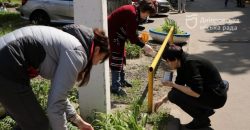 Упорядкували території і висадили квіти: мешканці Соборного району долучилися до суботника