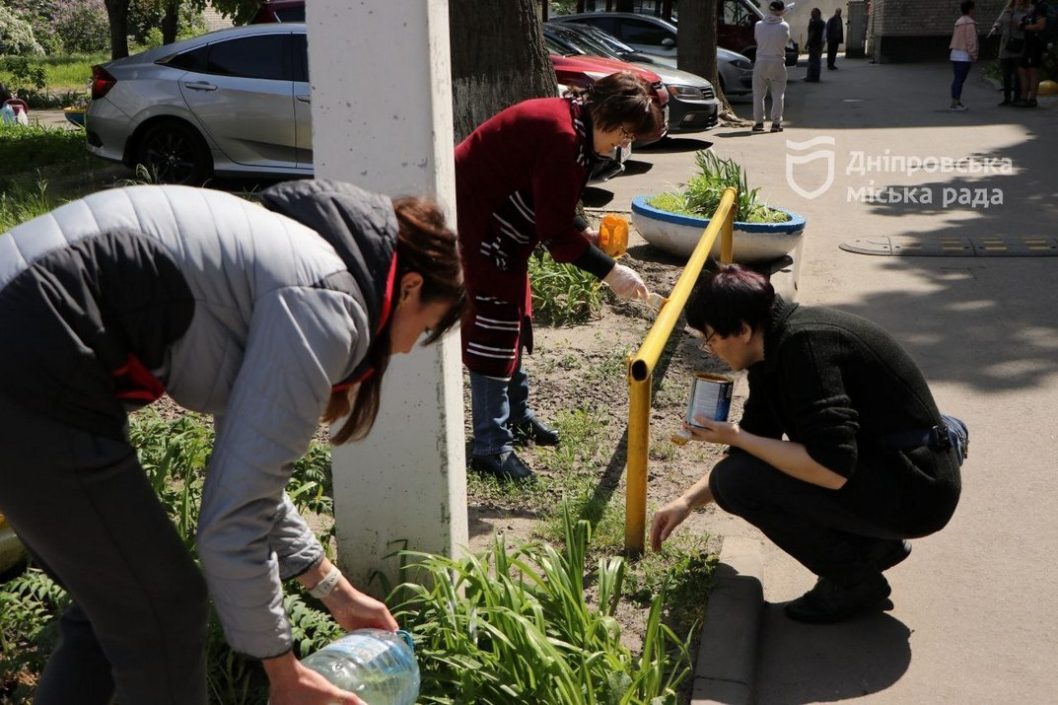 Упорядкували території і висадили квіти: мешканці Соборного району долучилися до суботника