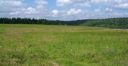 На Дніпропетровщині прокуратура повернула навчальному закладу 16 га землі - рис. 3