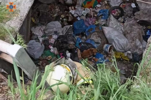 У Синельниківському районі співробітники ДСНС врятували собаку