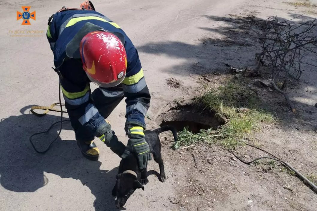 На Дніпропетровщині рятувальники визволили цуценя, яке впало у глибокий люк - рис. 2