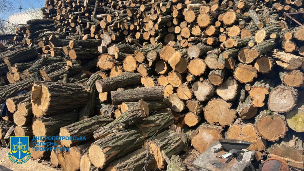 Завдали державі збитків на 2 мільйони грн: у Дніпрі викрили "чорних лісорубів"