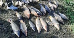 На Днепропетровщине мужчина наловил полсотни килограммов рыбы во время нереста - рис. 7