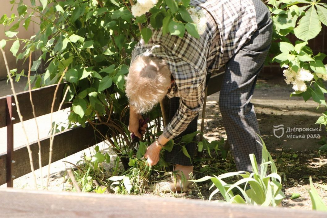 Жители Соборного района Днепра присоединились к общегородской толоке - рис. 2