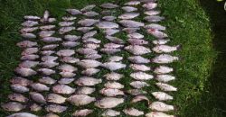 Виловили більше 100 рибин: у Кривому Розі затримали браконьєрів