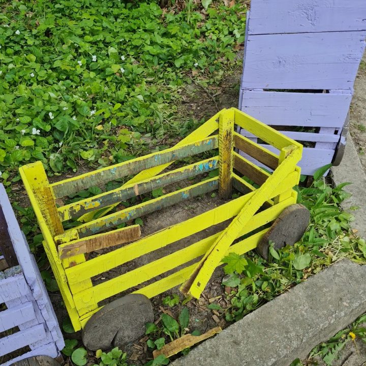 Неизвестные разгромили ботанический сад Днепропетровского национального университета - рис. 2