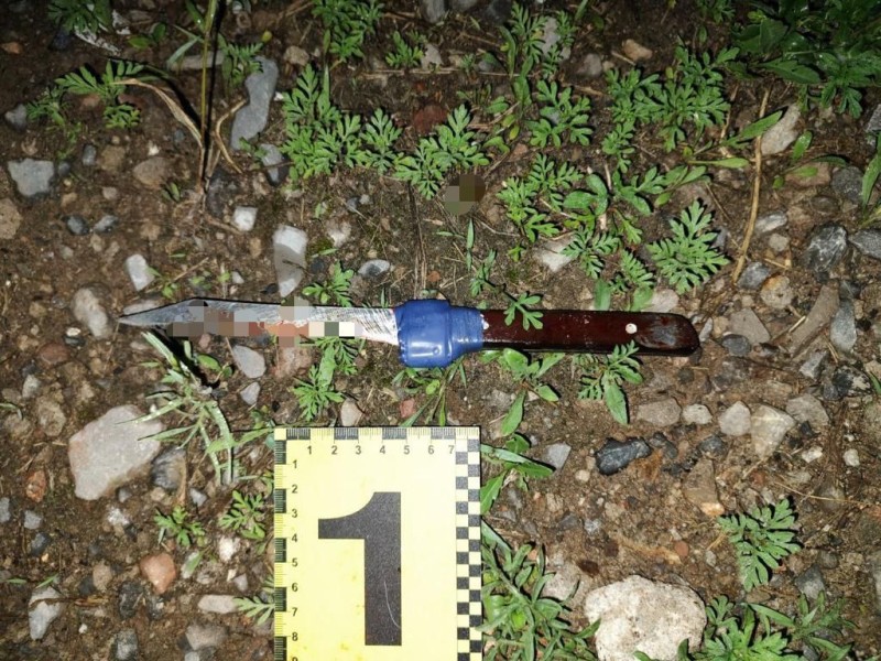 У Дніпрі зловмисник напав з ножем на жінку: йому загрожує 8 років в'язниці - рис. 1