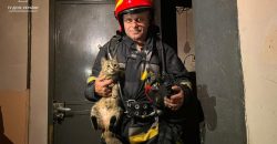 Врятували котика: у Дніпрі надзвичайники загасили пожежу