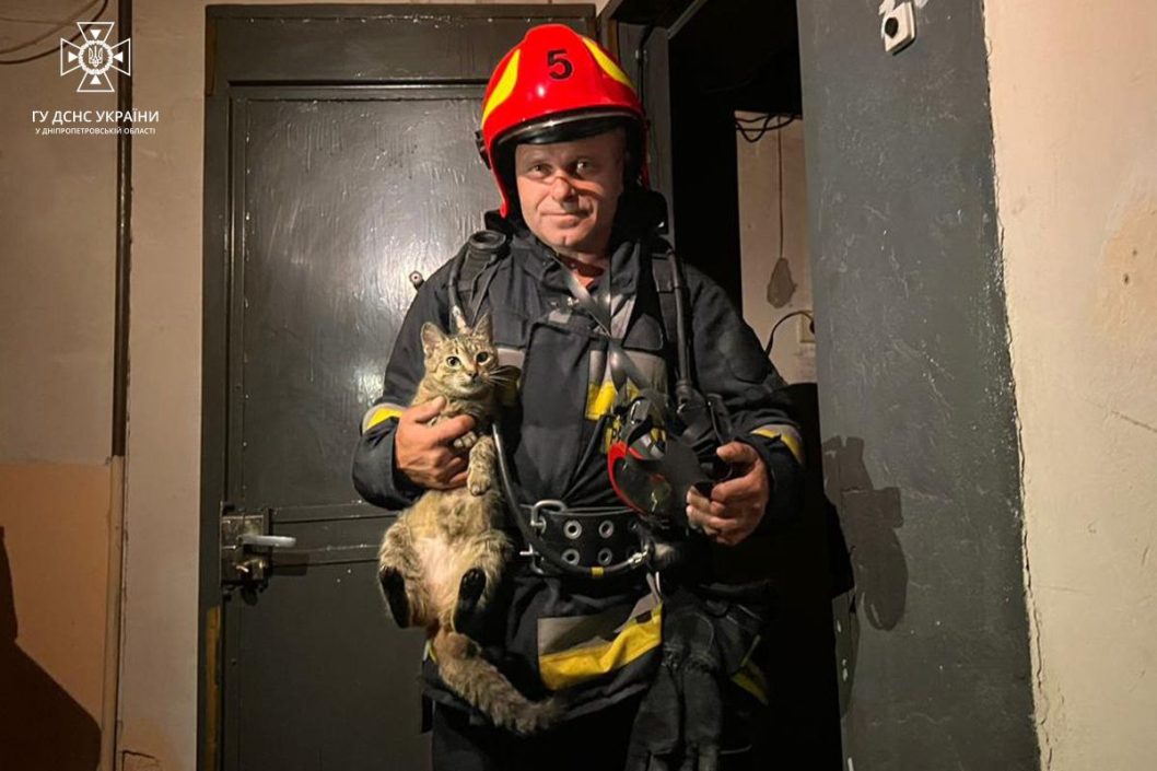 Врятували котика: у Дніпрі надзвичайники загасили пожежу