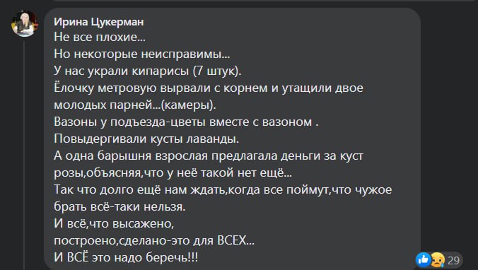 У Дніпрі мешканці викопали кущі сусідів та посадили у себе у дворі
