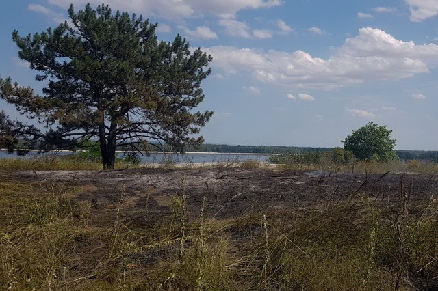 Влияние уничтожения Каховской ГЭС на животный мир лесов Днепропетровщины