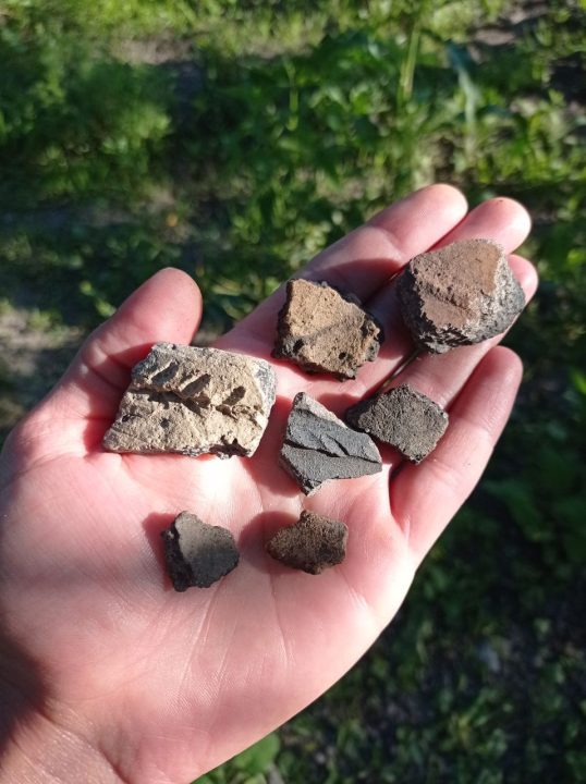 В АНД районе Днепра нашли старинные монеты