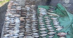 Виловив 230 рибин: на Дніпропетровщині затримали рибалку-бракон'єра
