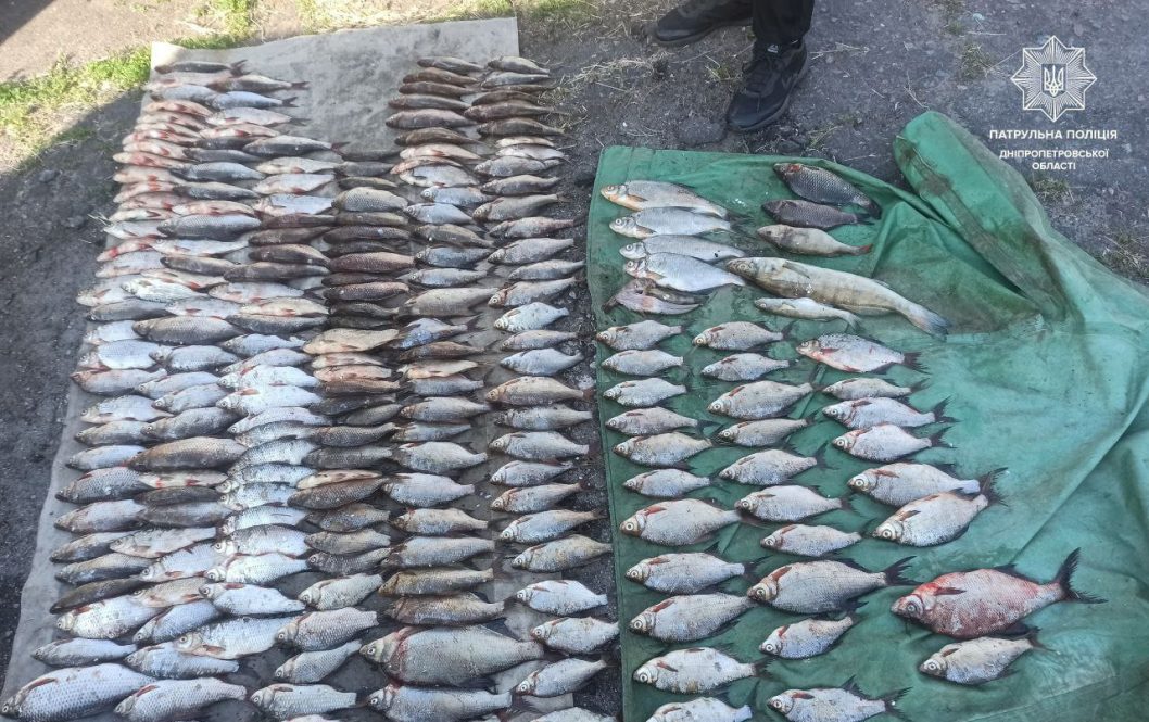 Виловив 230 рибин: на Дніпропетровщині затримали рибалку-бракон'єра
