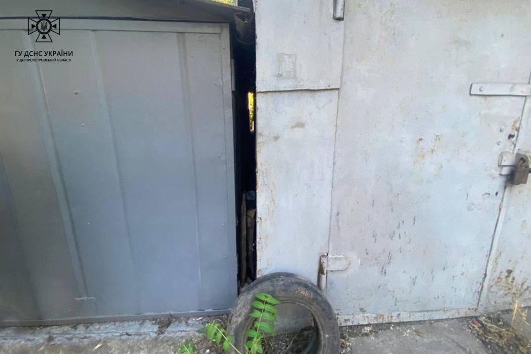 Не залишили у біді: на Дніпропетровщині рятувальники визволили з пастки двох цуценят