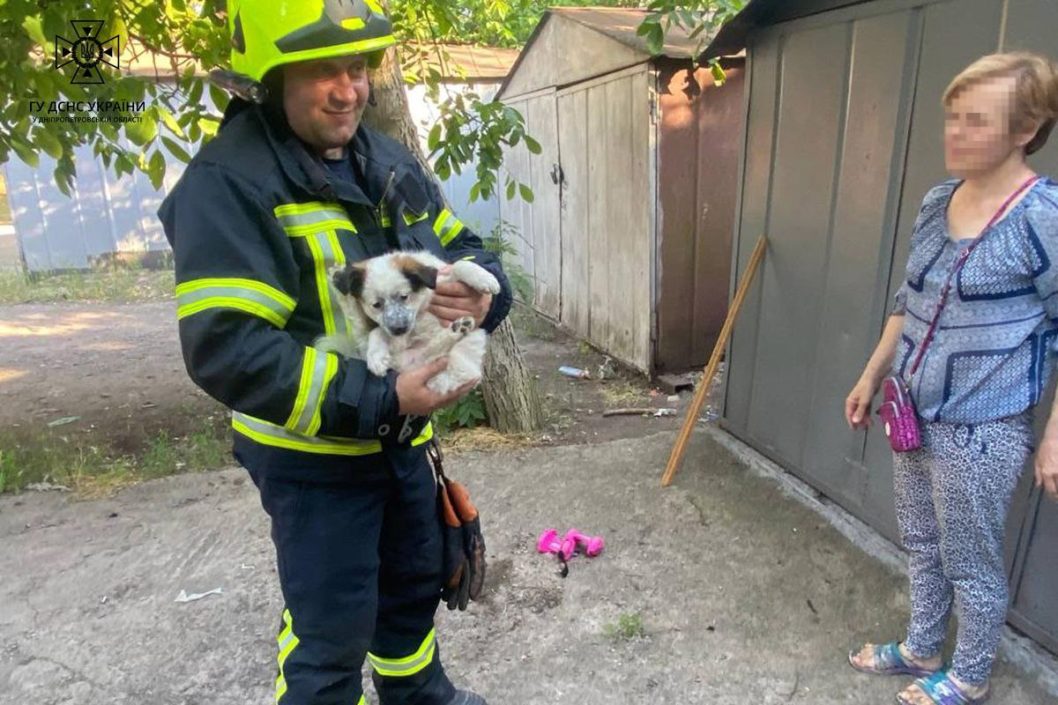 Не залишили у біді: на Дніпропетровщині рятувальники визволили з пастки двох цуценят