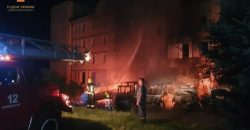 На Днепропетровщине произошел масштабный пожар: сгорели 5 микроавтобусов - рис. 6