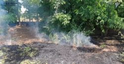 На Дніпропетровщині сталася пожежа: загорілася суха трава