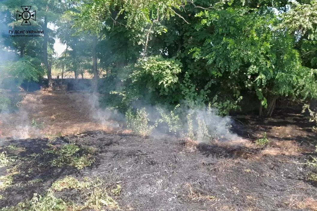 На Дніпропетровщині сталася пожежа: загорілася суха трава