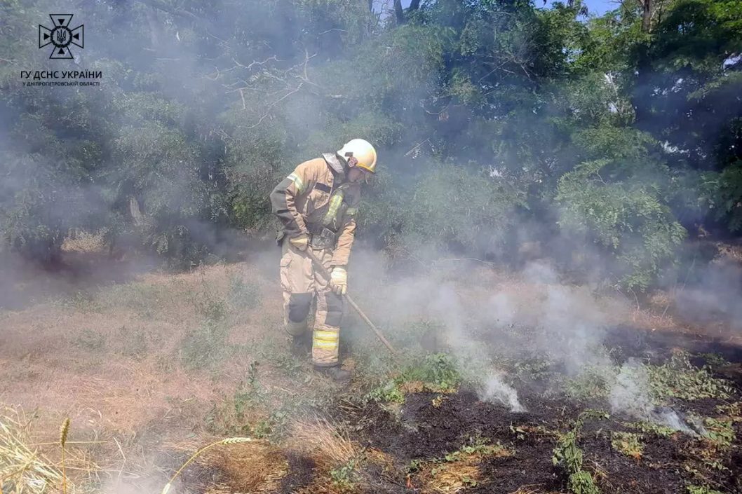 На Дніпропетровщині сталася пожежа: загорілася суха трава