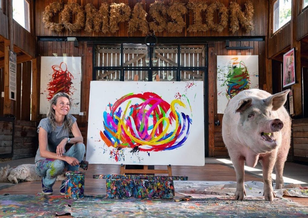 У Південній Африці картини свинки-художниці Пігкассо продали за 1,2 млн доларів