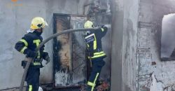 У селищі під Дніпром внаслідок пожежі постраждали чоловік та дитина - рис. 17