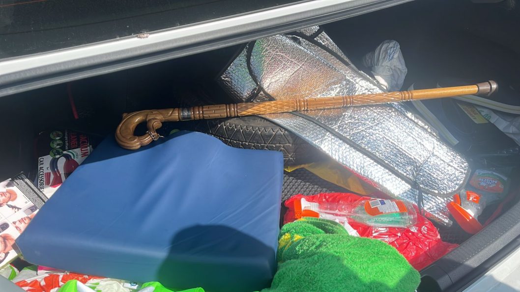 Житель Дніпропетровщини намагався перевезти через кордон тростину з секретом