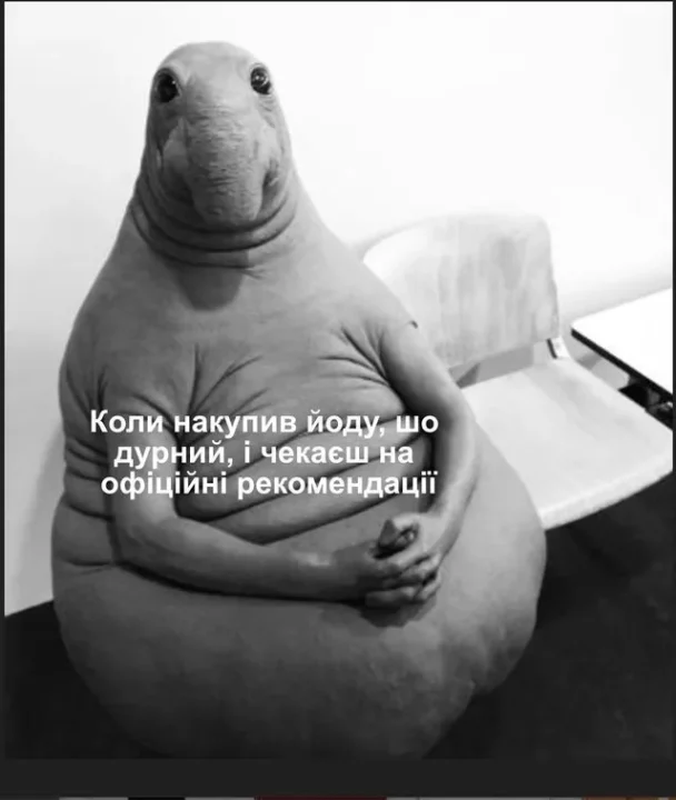 "Хто тримає цей район? Пес Протон!": украинские соцсети заполонили мемы о ЗАЭС - рис. 6