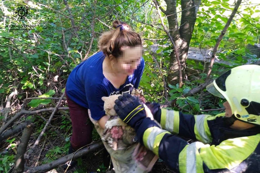 На Дніпропетровщині рятувальники визволили котика із пастки