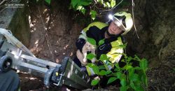 На Дніпропетровщині рятувальники визволили котика із пастки
