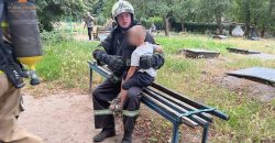 На Дніпропетровщині з пожежі врятували дитину