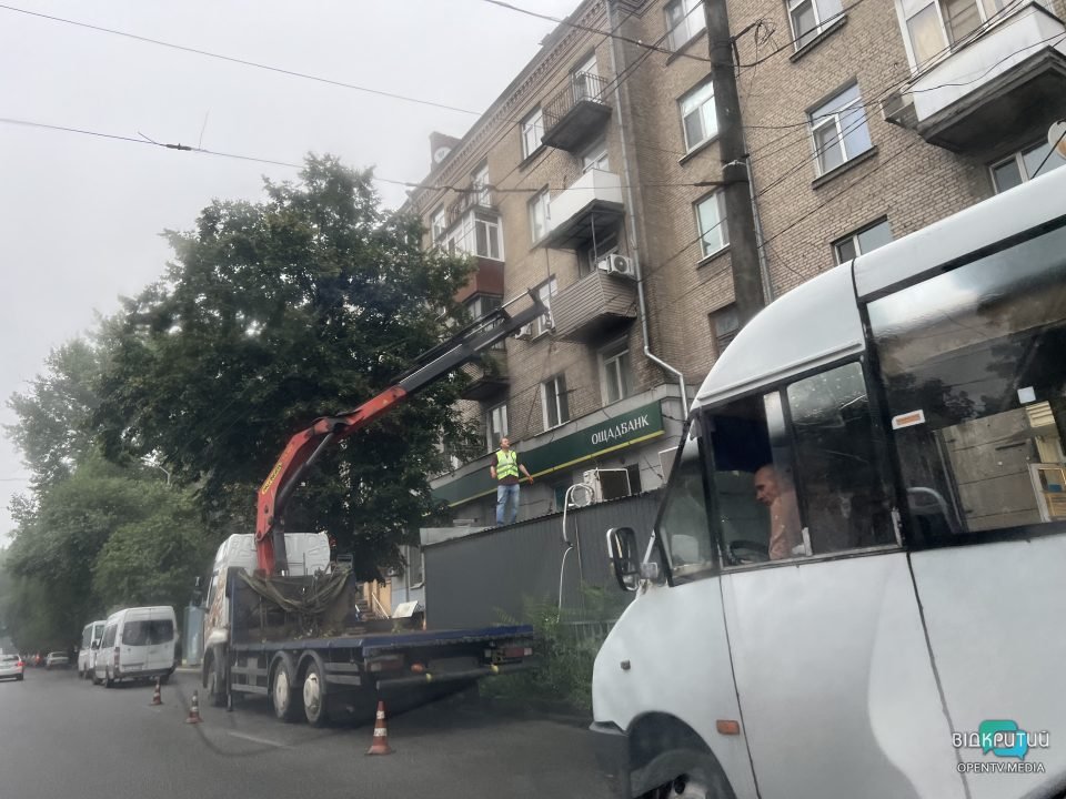 Повалені дерева та обірвані дроти: наслідки нічної негоди у Дніпрі