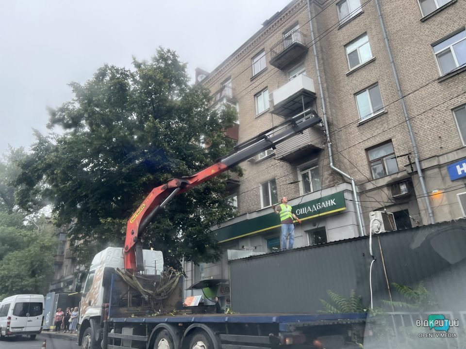 Повалені дерева та обірвані дроти: наслідки нічної негоди у Дніпрі