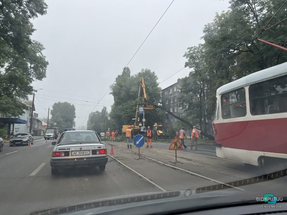 Повалені дерева та обірвані дроти: наслідки нічної негоди у Дніпрі