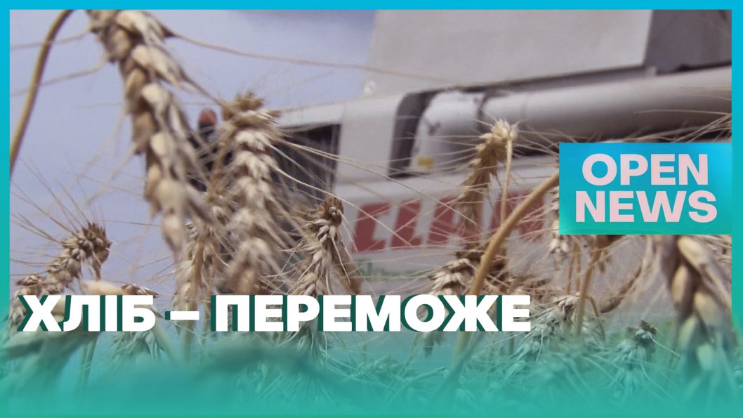 Победные колосья: на полях Днепропетровщины начали собирать урожай - рис. 1