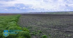 На Днепропетровщине государству вернули земли природно-заповедного фонда - рис. 1