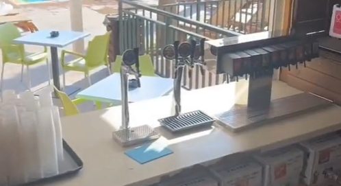 Британские туристы нашли в гостиничном номере тайное окно с безлимитными напитками - рис. 1