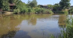 В пригороде Днепра жители жалуются на загрязнение реки Кильчень - рис. 6