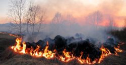 Рятувальники Дніпропетровщини попереджають про пожежну небезпеку