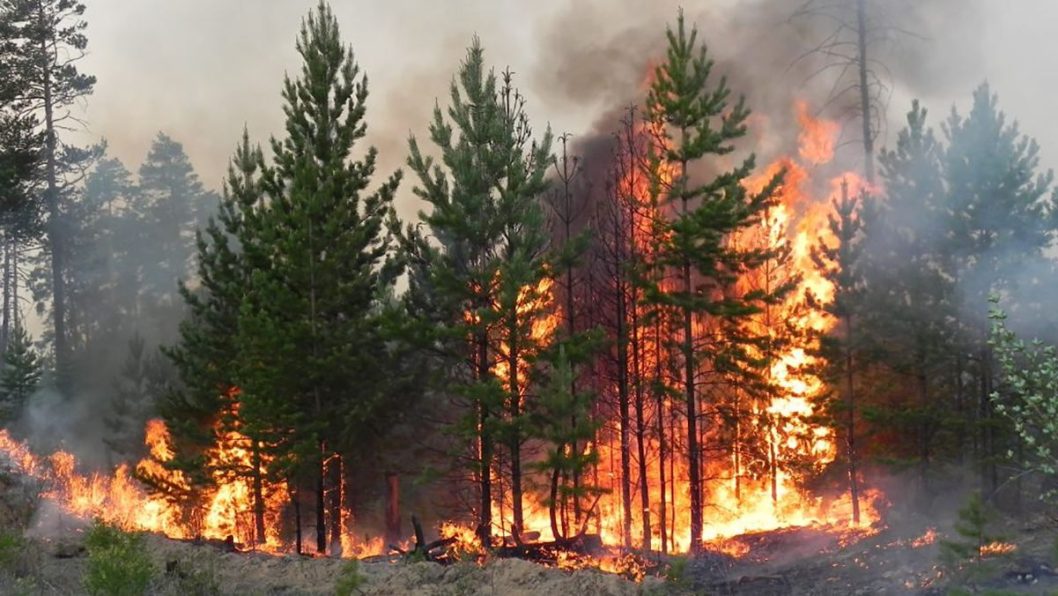 На Дніпропетровщині оголошена висока пожежна небезпека