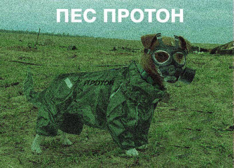 "Хто тримає цей район? Пес Протон!": украинские соцсети заполонили мемы о ЗАЭС - рис. 1