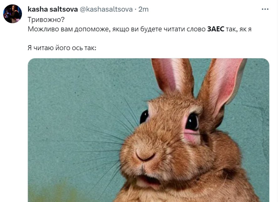 "Хто тримає цей район? Пес Протон!": українські соцмережі заполонили меми про ЗАЕС
