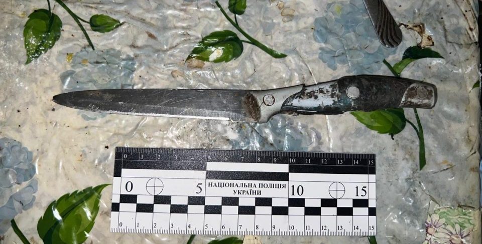 В Кривом Роге задержали горожанина, который набросился на знакомого с ножом - рис. 1