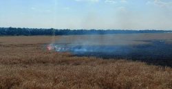 Российские террористы в очередной раз попали по пшеничным полям на Днепропетровщине - рис. 3