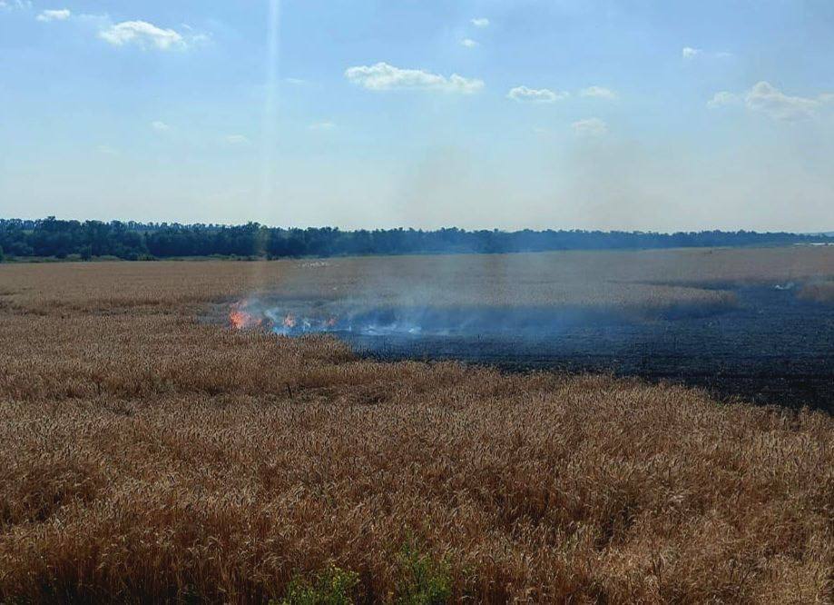 Російські терористи в черговий раз поцілили по пшеничних полях на Дніпропетровщині