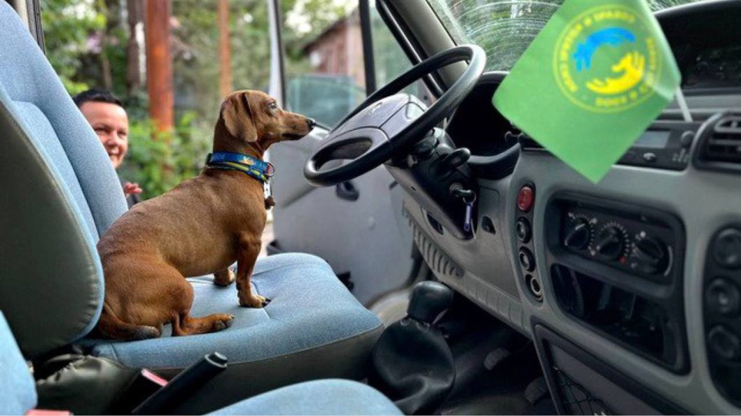 Днепровский пес-волонтер направил украинским защитникам на фронт уже четвертое авто - рис. 1