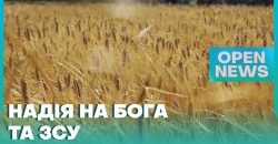 На Днепропетровщине стартовала жатва - рис. 7